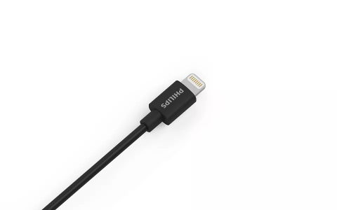 MBUSHES VETURE FAST CHARGING PHIIPS DLP2357V/10  | DUAL PORT USB-A LIGHTNING BLACK