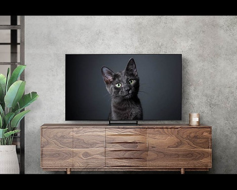 TELEVIZOR SAMSUNG QE55S90CATXXH | 55" OLED 4K SMART TV TIZEN