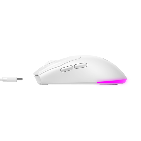 MOUSE GAMING HAVIT MS971WB | WIRELESS BLUETOOTH RGB I BARDHE
