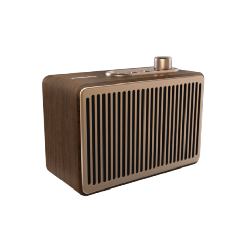 ZMADHUES PHILIPS TAVS300/00 | BLUETOOTH AUX GOLD CLASSIC