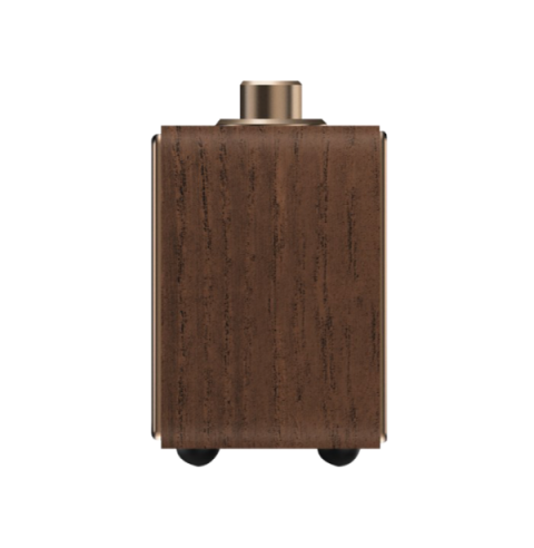 ZMADHUES PHILIPS TAVS300/00 | BLUETOOTH AUX GOLD CLASSIC