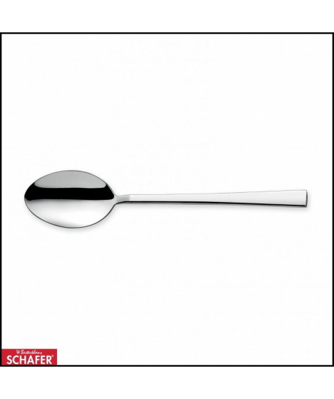 W.B.SCHAFER ROBINA 6 PCS DINNER SPOON